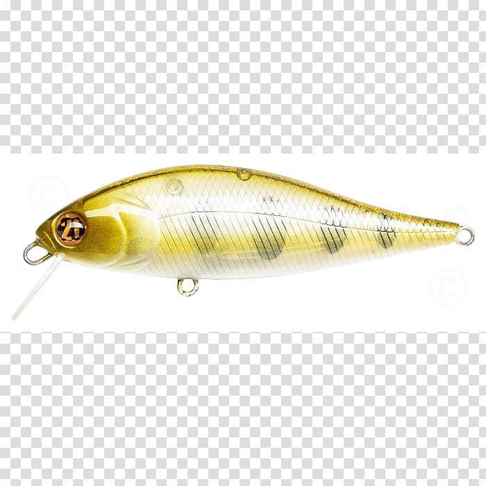 Spoon lure Osmeriformes Perch Fish AC power plugs and sockets, others transparent background PNG clipart