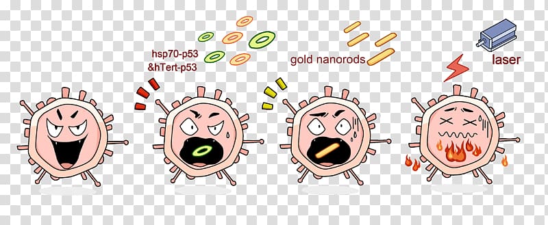 p53 Transfection Heat shock protein Plasmid Cell, cancer cell culture kit transparent background PNG clipart