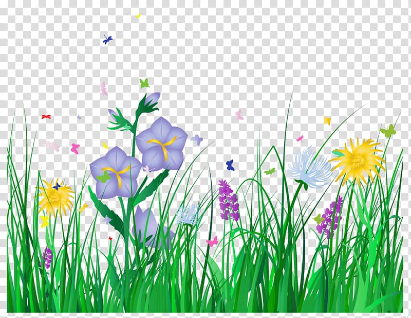 Grass and Flowers , assorted-color petaled flowers transparent background PNG clipart