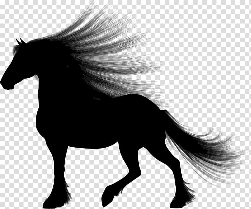 Mustang Stallion Equestrian Gallop , hair silhouette transparent background PNG clipart