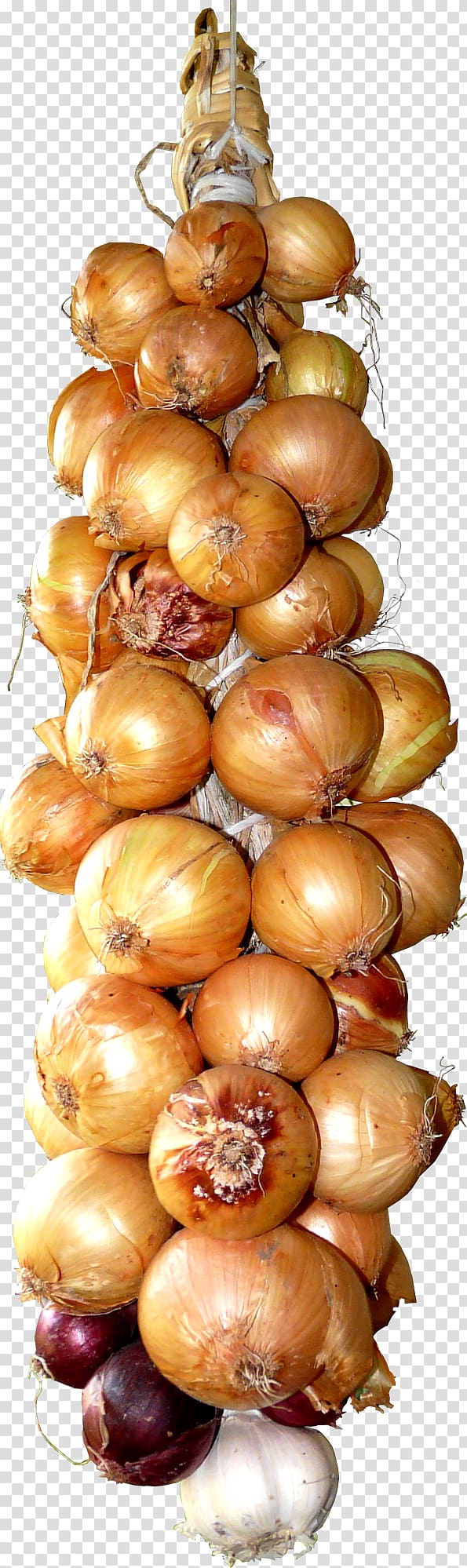 Onion Garlic Vegetable , garlic transparent background PNG clipart