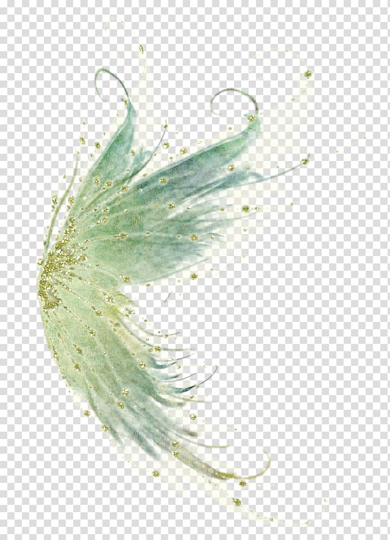 Bird Fairy Wing , mist transparent background PNG clipart
