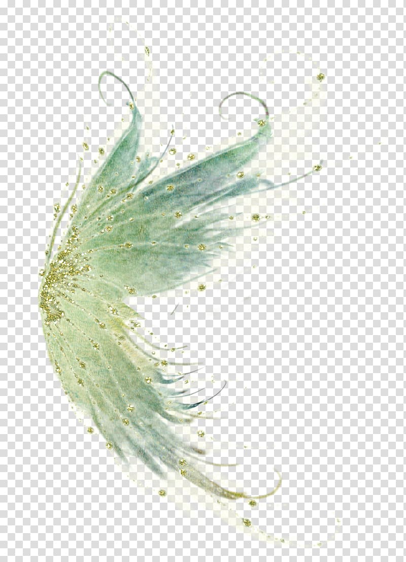 Fairy Wings Transparent Background Png Cliparts Free Download Hiclipart