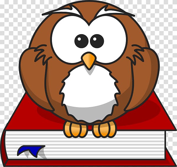 Baby Owls Cartoon , Teacher transparent background PNG clipart