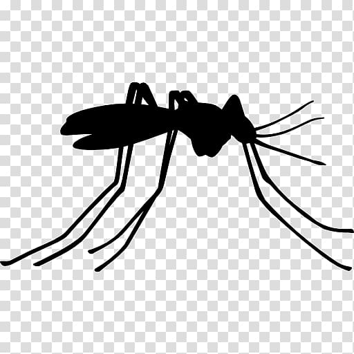 Mosquito control Household Insect Repellents Computer Icons, mosquito transparent background PNG clipart