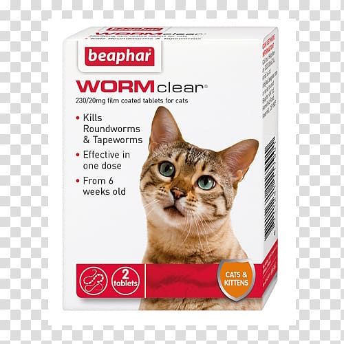 Cat health Kitten Worm Dog, Cat transparent background PNG clipart