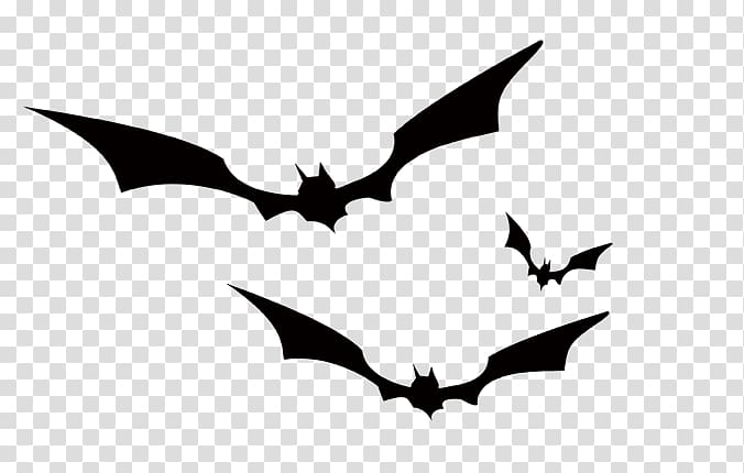 Three black bats illustration, Bat Crows Black and white, bat ...