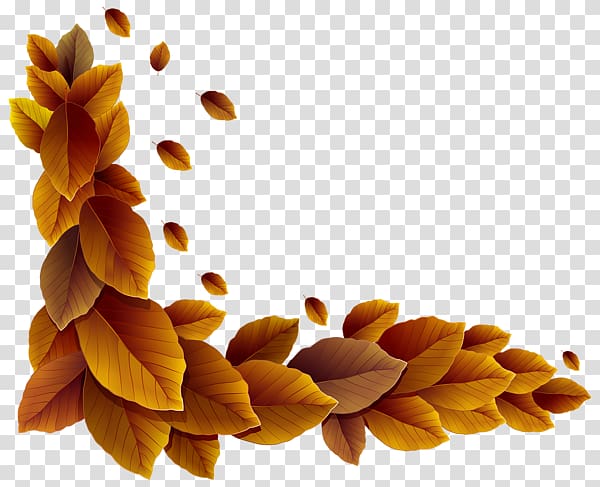 , others transparent background PNG clipart