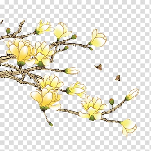 Magnolia denudata Magnolia xd7 alba Orchids Painting, White orchid flowers transparent background PNG clipart