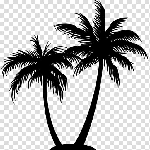 Arecaceae Tree , sydney silhouette transparent background PNG clipart ...