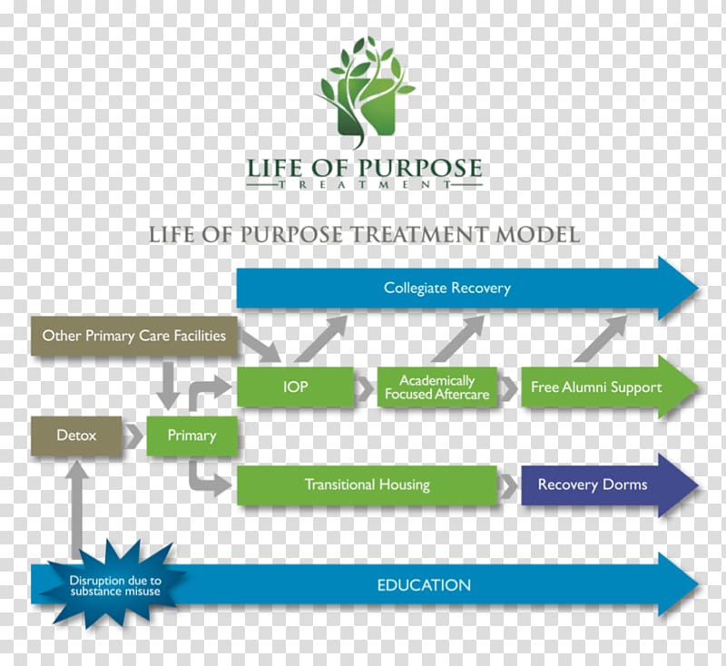 Drug rehabilitation Therapy Health Care Life of Purpose Treatment Residential treatment center, health transparent background PNG clipart