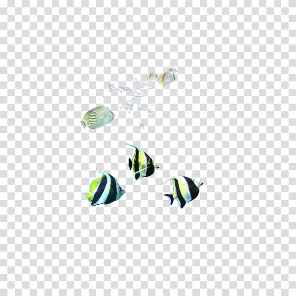 Fish Euclidean Seabed, Bottom fish transparent background PNG clipart