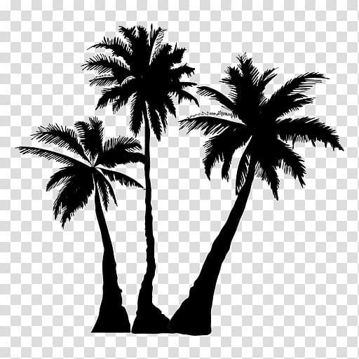 coconut palm illustration, Arecaceae Silhouette Tree , palm trees transparent background PNG clipart
