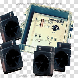 Bird control Ultrasound Rock dove Design Home, Bird transparent background PNG clipart thumbnail