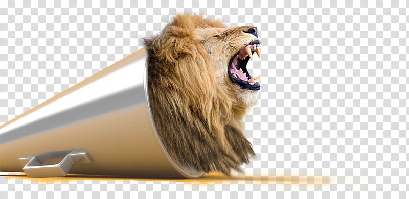 Lion Visual perception Creativity Subliminal stimuli, roar transparent background PNG clipart