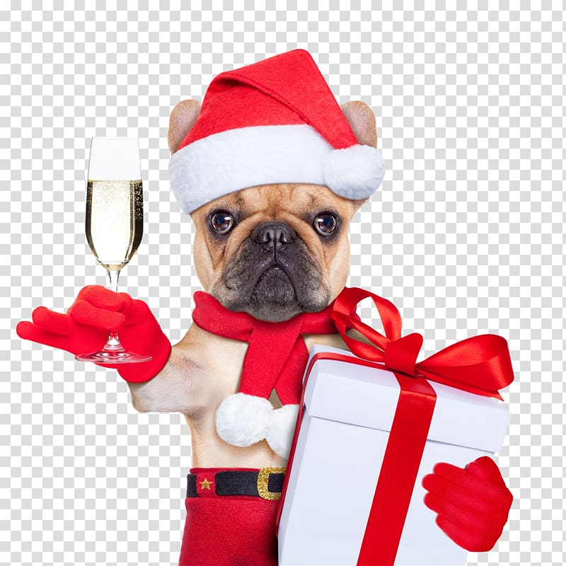 Dog Santa Claus Puppy Christmas card, Puppy Santa Claus transparent background PNG clipart