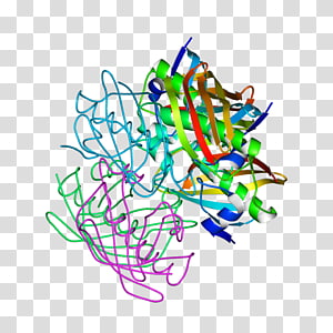 Line Point Organism , line transparent background PNG clipart thumbnail