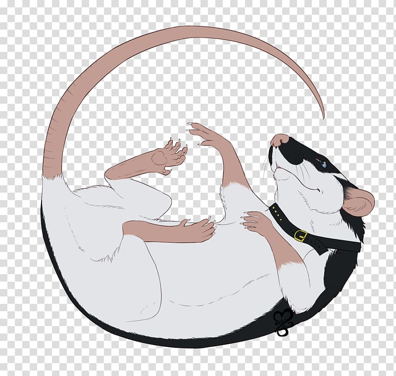 Carnivora Character , sushi drawing transparent background PNG clipart Carnivora Character , sushi drawing transparent background PNG clipart
