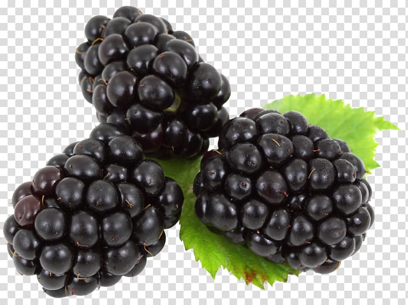 Boysenberry Frutti di bosco , Blackberry transparent background PNG clipart
