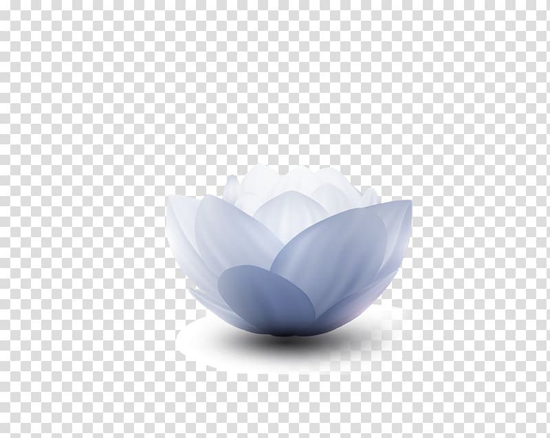 Nelumbo nucifera Icon, lotus transparent background PNG clipart
