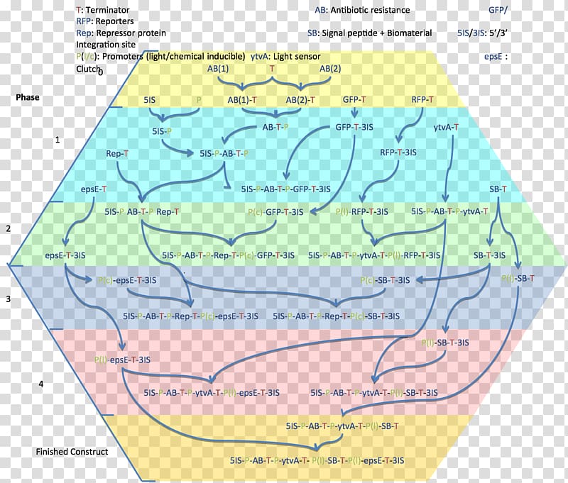 Water resources Ecoregion Map Land lot, pathway transparent background PNG clipart