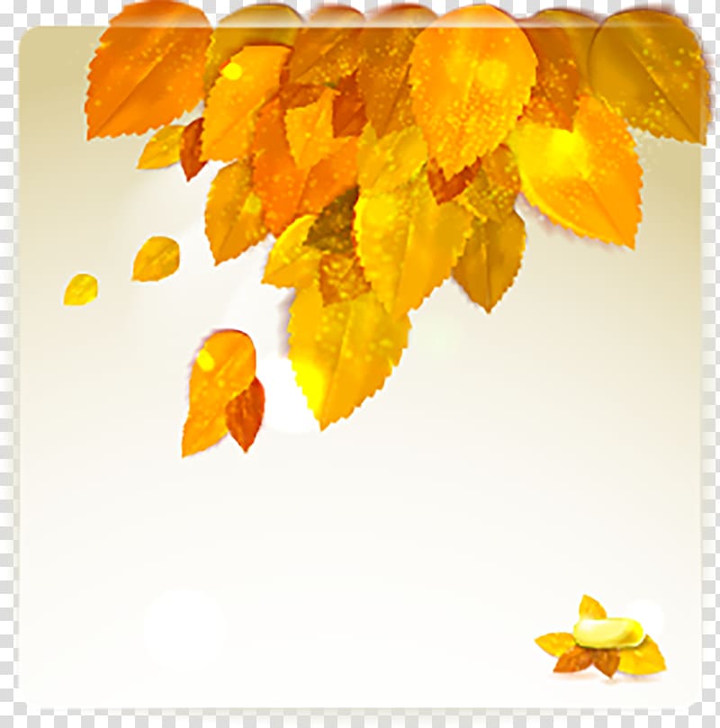 Autumn, sprinkle golden yellow leaves transparent background PNG clipart