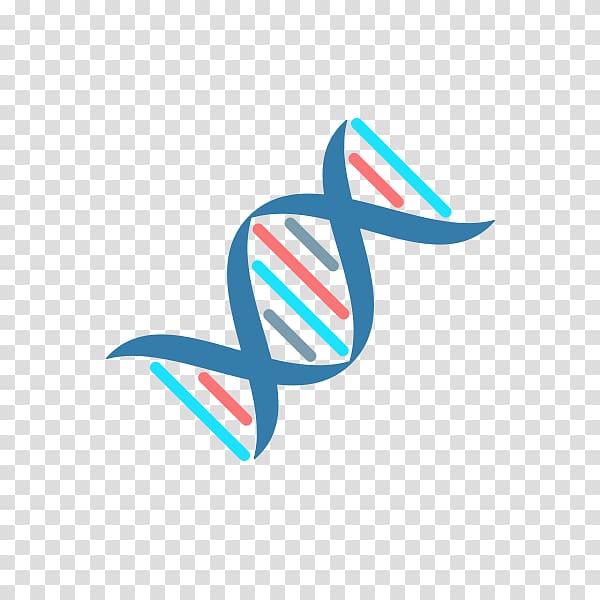 伟乔生医股份有限公司 Polymerase chain reaction Computer Icons DNA Biology, symbol transparent background PNG clipart
