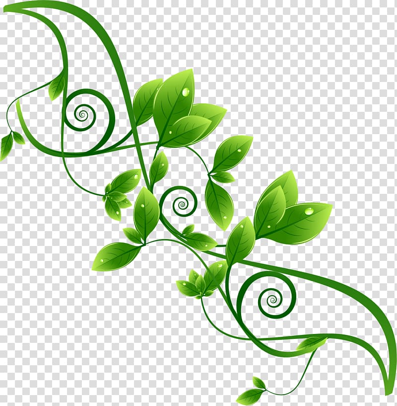 green leaf illustration, Environmental protection Green, Beautifully green theme label material transparent background PNG clipart