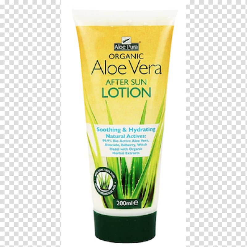 Sunscreen Lotion Aloe vera Aftersun Factor de protección solar, how to draw aloe vera plant step by step transparent background PNG clipart