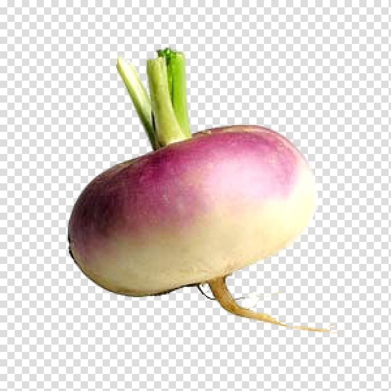 Shalgam Turnip Vegetable Radish , vegetable transparent background PNG clipart
