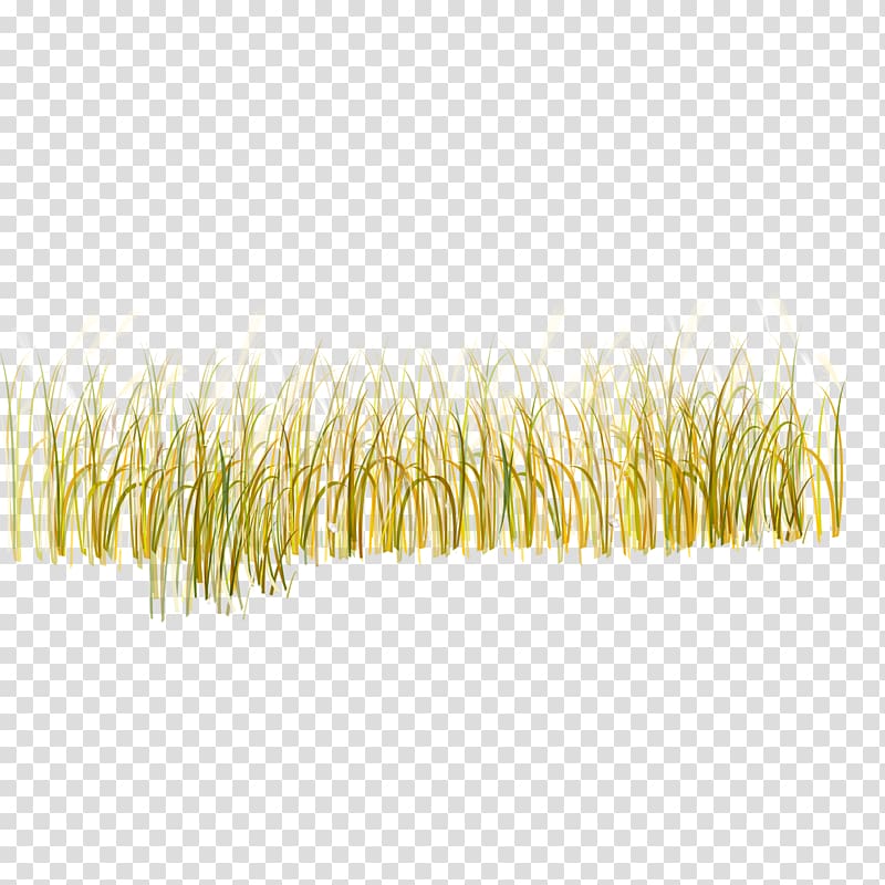wheat field art, Yellow Pattern, grass transparent background PNG clipart
