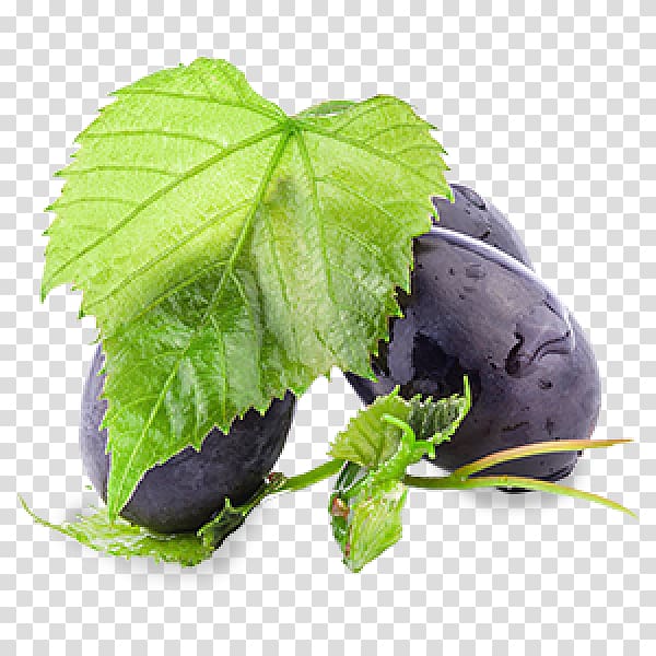 Grape leaves Extract Leaf vegetable, the grape mask transparent background PNG clipart