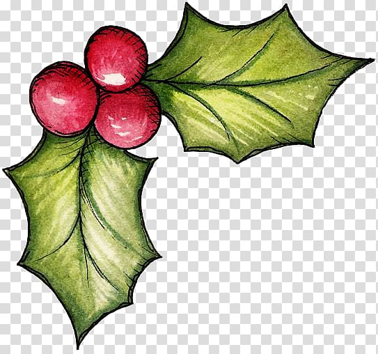 Christmas Mistletoe , christmas transparent background PNG clipart