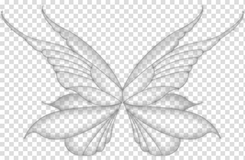 Line art Petal White Leaf Sketch, others transparent background PNG clipart