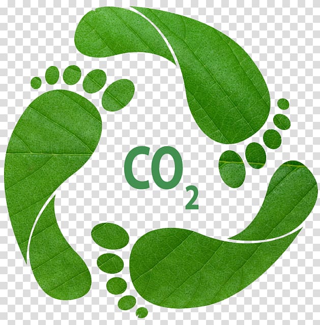 Earth Overshoot Day Ecological footprint Carbon footprint Ecology, natural environment transparent background PNG clipart
