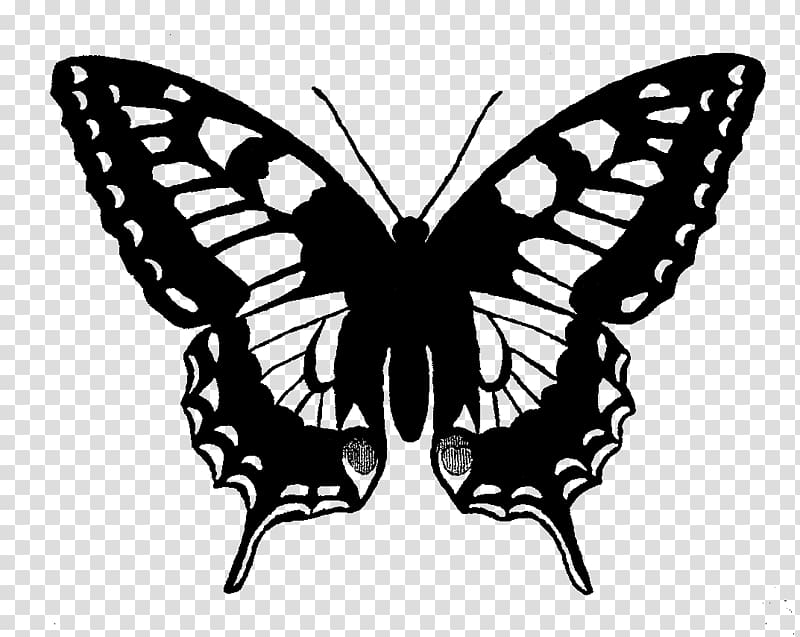 Swallowtail butterfly Papilio machaon , maternal and child painting illustration design transparent background PNG clipart
