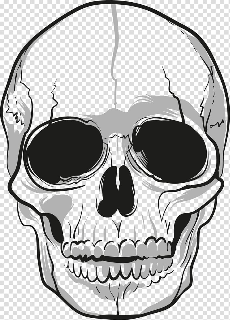 Skull Drawing Cologne, Germany Bone, skull transparent background PNG clipart