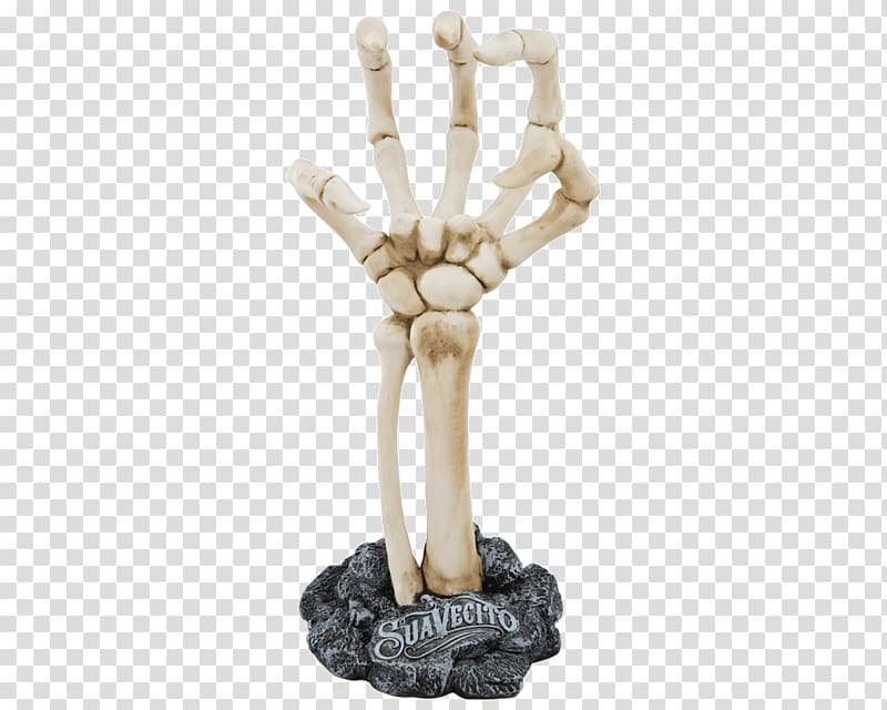Hand Human skeleton Anatomy Bone, hand transparent background PNG clipart