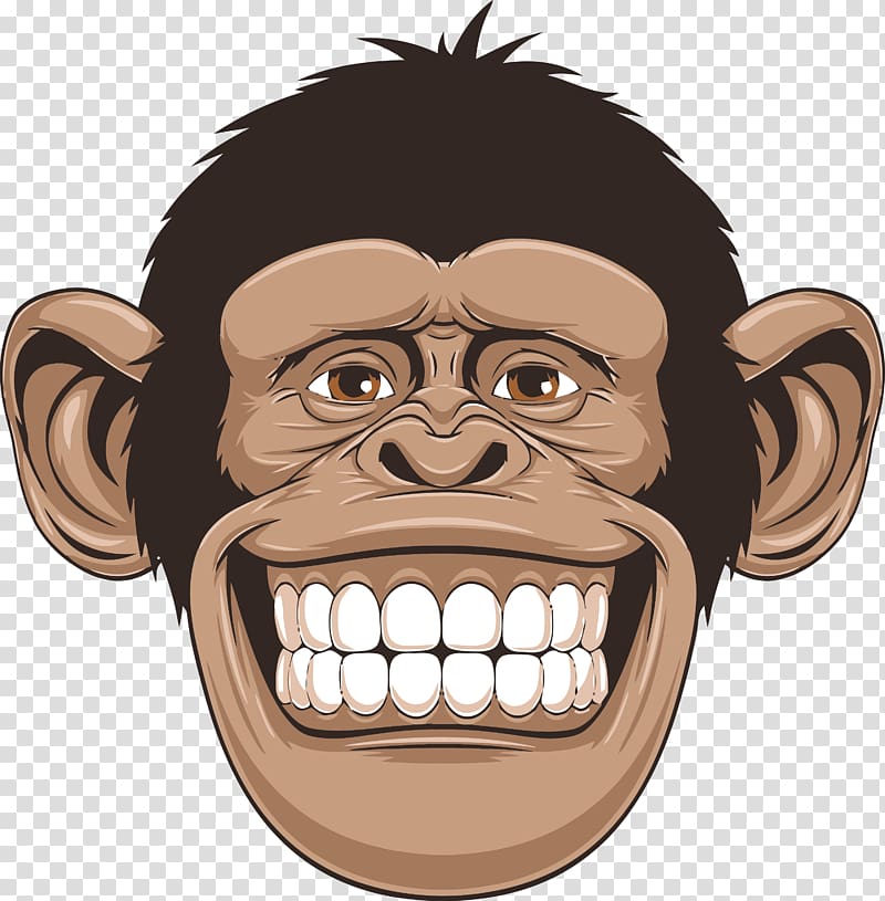 Chimpanzee Primate Drawing, monkey transparent background PNG clipart