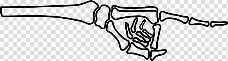 Human skeleton Hand , fingers transparent background PNG clipart