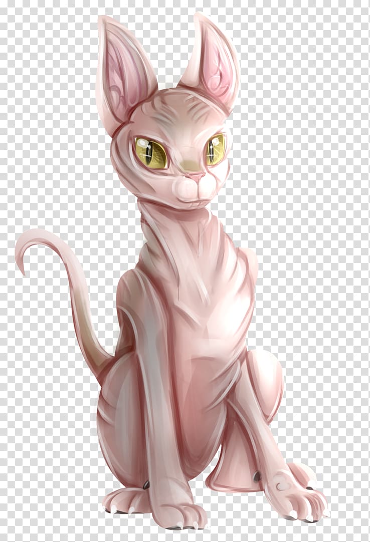 Whiskers Kitten Sphynx cat Tabby cat Drawing, kitten transparent background PNG clipart