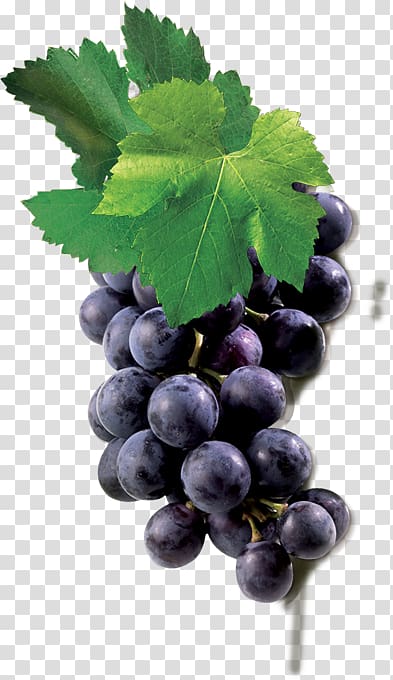 Grape Blueberry Tea Zante currant Seedless fruit, grape transparent background PNG clipart