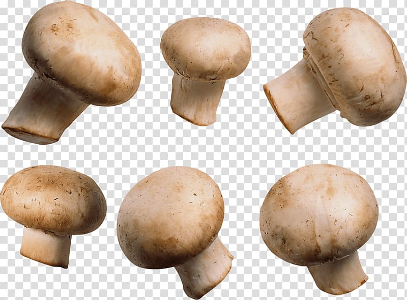 Common mushroom Vegetarian cuisine, Mushroom transparent background PNG clipart