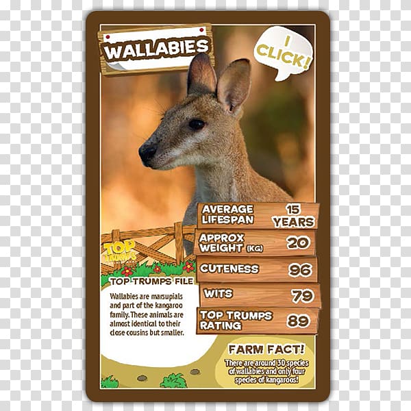 Winning Moves Top Trumps Kangaroo Card game, kangaroo transparent background PNG clipart