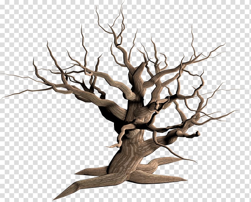 bare tree art, Tree Dead Branches transparent background PNG clipart