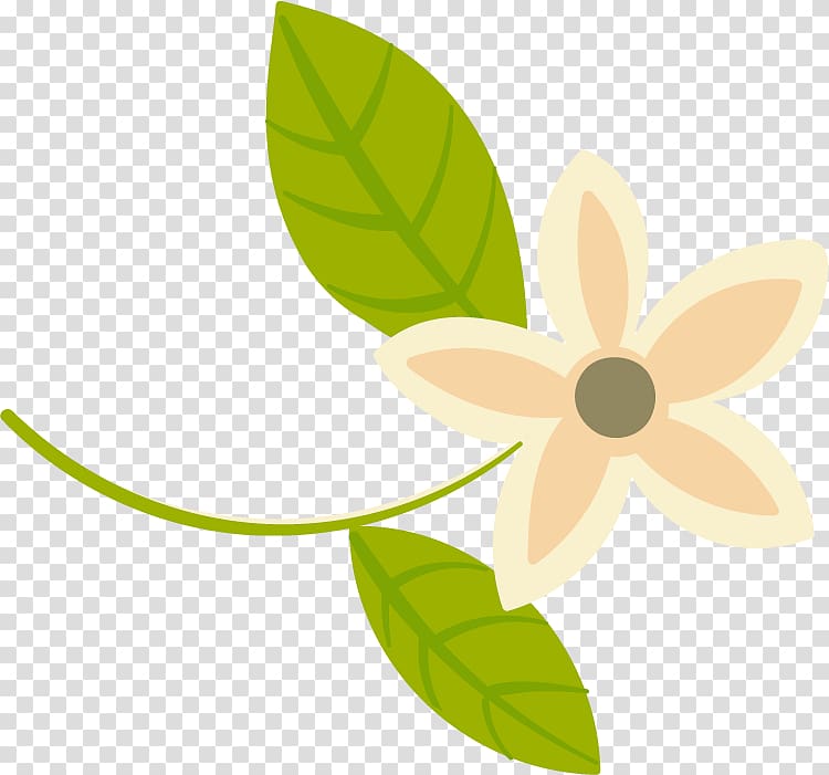 Petal Product design Leaf Flowering plant, banner psd transparent background PNG clipart