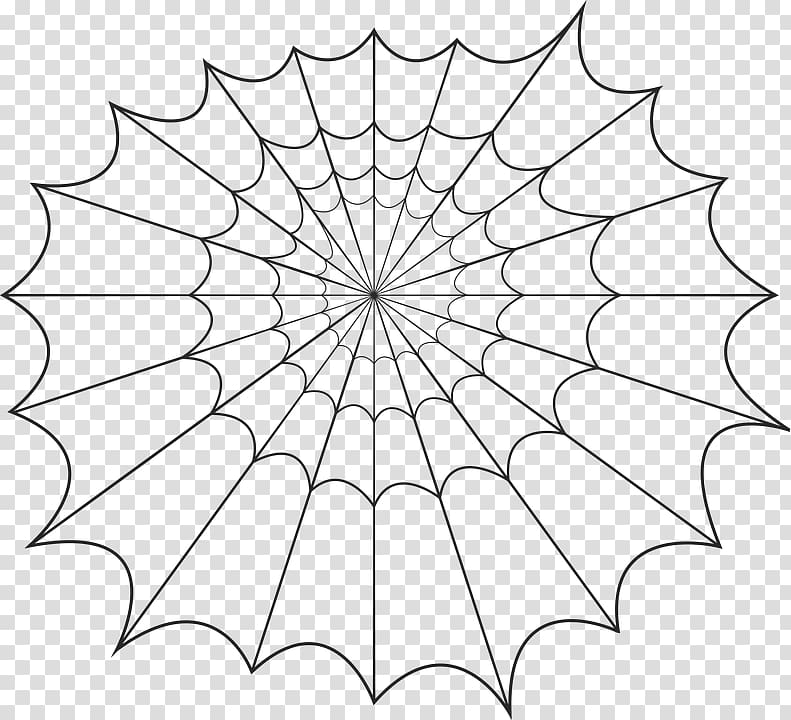 Spider silk Spider web , spider transparent background PNG clipart