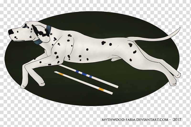 Dalmatian dog Great Dane Dog breed, Teacup Dogs Agility Association transparent background PNG clipart