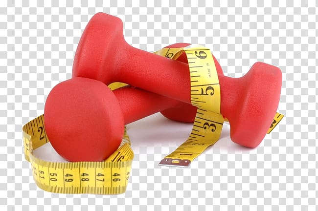 two red fixed weight dumbbells and tape measure, Physical fitness Weight training Physical exercise Weight loss Personal trainer, Red dumbbell element transparent background PNG clipart