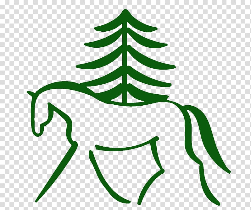 Southern Pines Riding School Whitney Weston Eventing , others transparent background PNG clipart